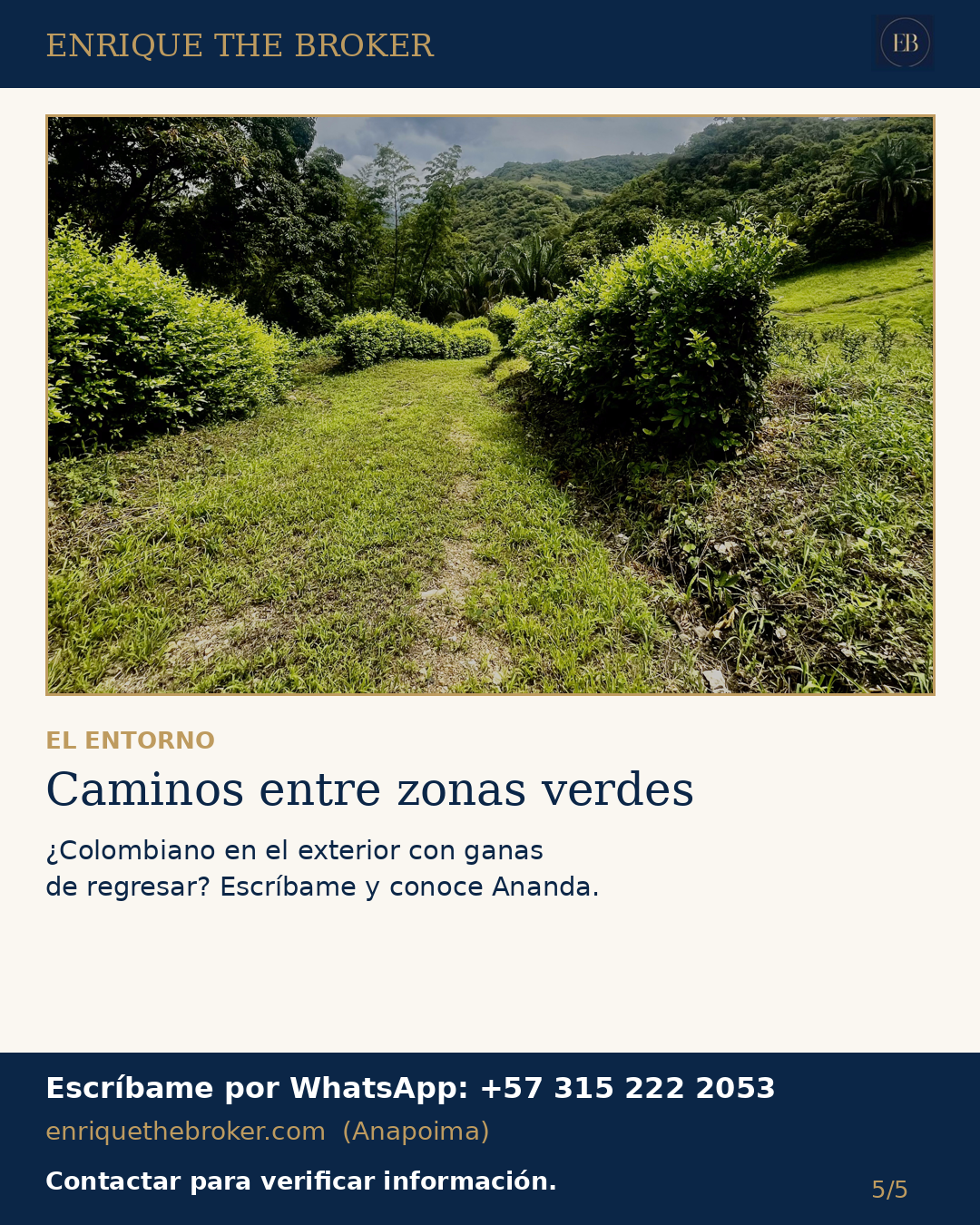Camino entre las zonas verdes de Ananda